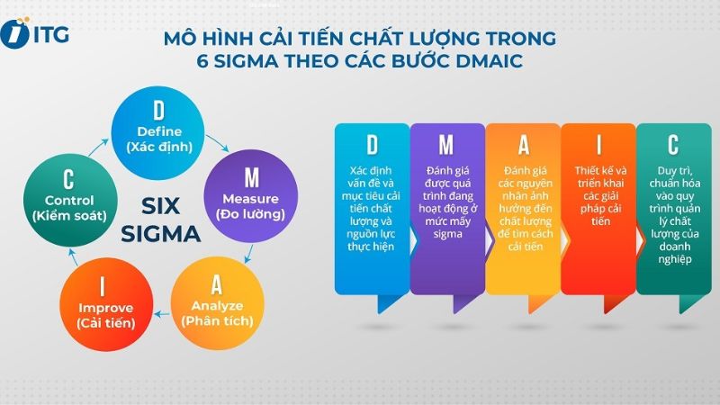 Hình ảnh mô tả về quy trình 6 sigma có vai trò đảm bảo chất lượng cho hoạt động của doanh nghiệp