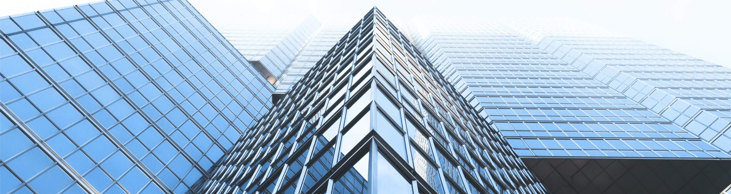 Tuyển dụng Tuyển dụng